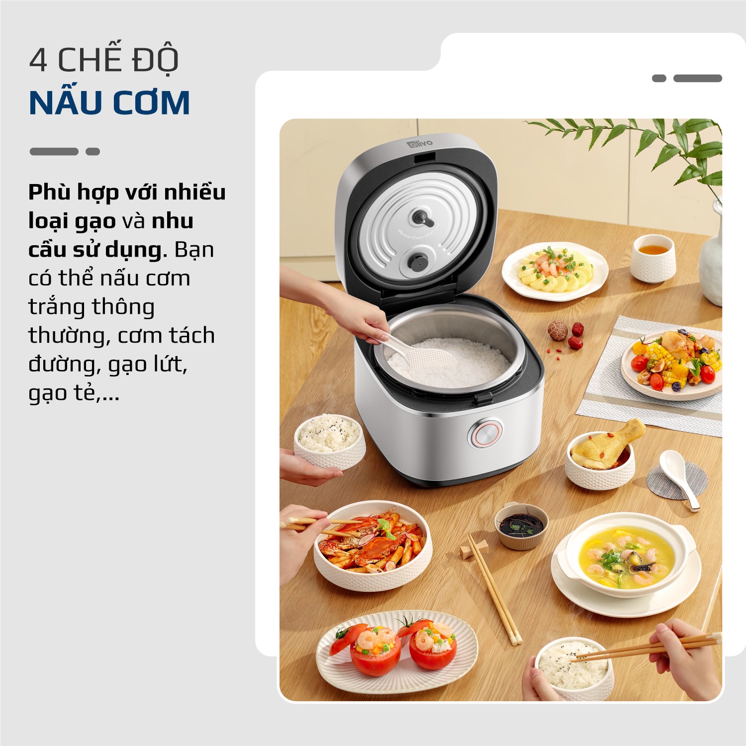 Nồi Cơm Điện OLIVO RC86 - Lòng Nồi INOX 304 Chống Dính Tự Nhiên, Nấu Cơm Ngon, Thiết Kế Tinh Tế, Sang Trọng