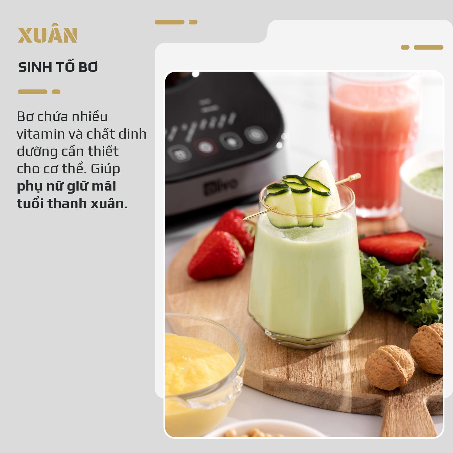 Máy Xay Nấu Đa Năng OLIVO CB20 - Độ Ồn Thấp Nhất - Chống Trào Tuyệt Đối - Vệ Sinh Khử Khuẩn - Chống Dính Gốm