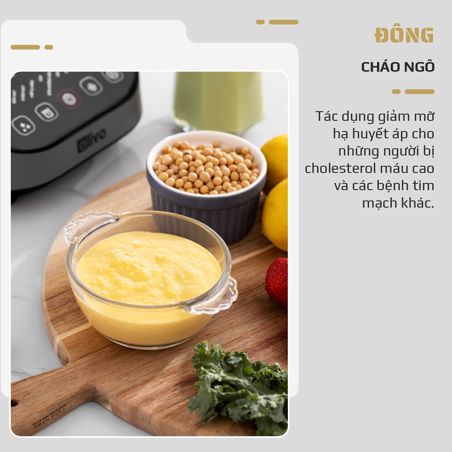 Máy Xay Nấu Đa Năng OLIVO CB20 - Độ Ồn Thấp Nhất - Chống Trào Tuyệt Đối - Vệ Sinh Khử Khuẩn - Chống Dính Gốm