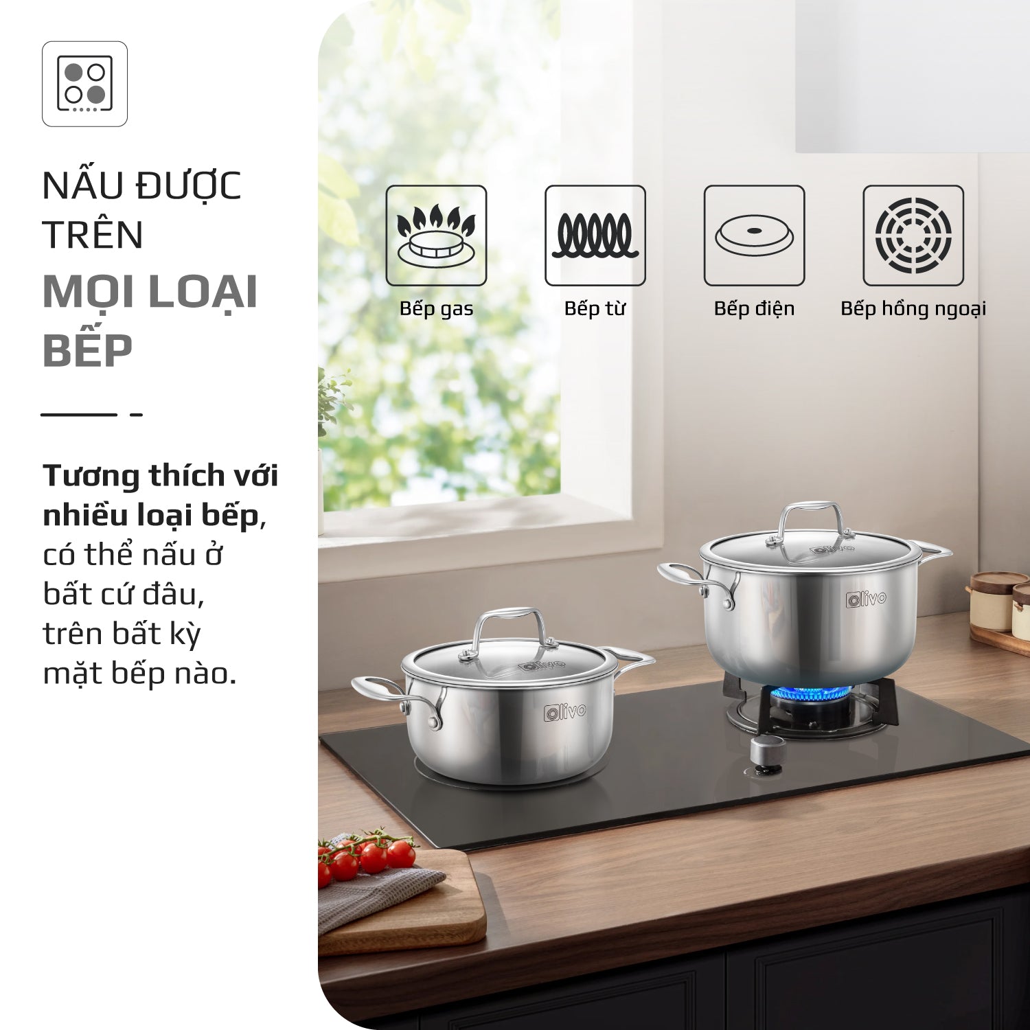 Bộ 2 Nồi OLIVO DAVINCI - Đa Dạng Kích Thước - Inox 3 Lớp - Nắp Kính Cường Lực - Nấu Được Trên Mọi Loại Bếp