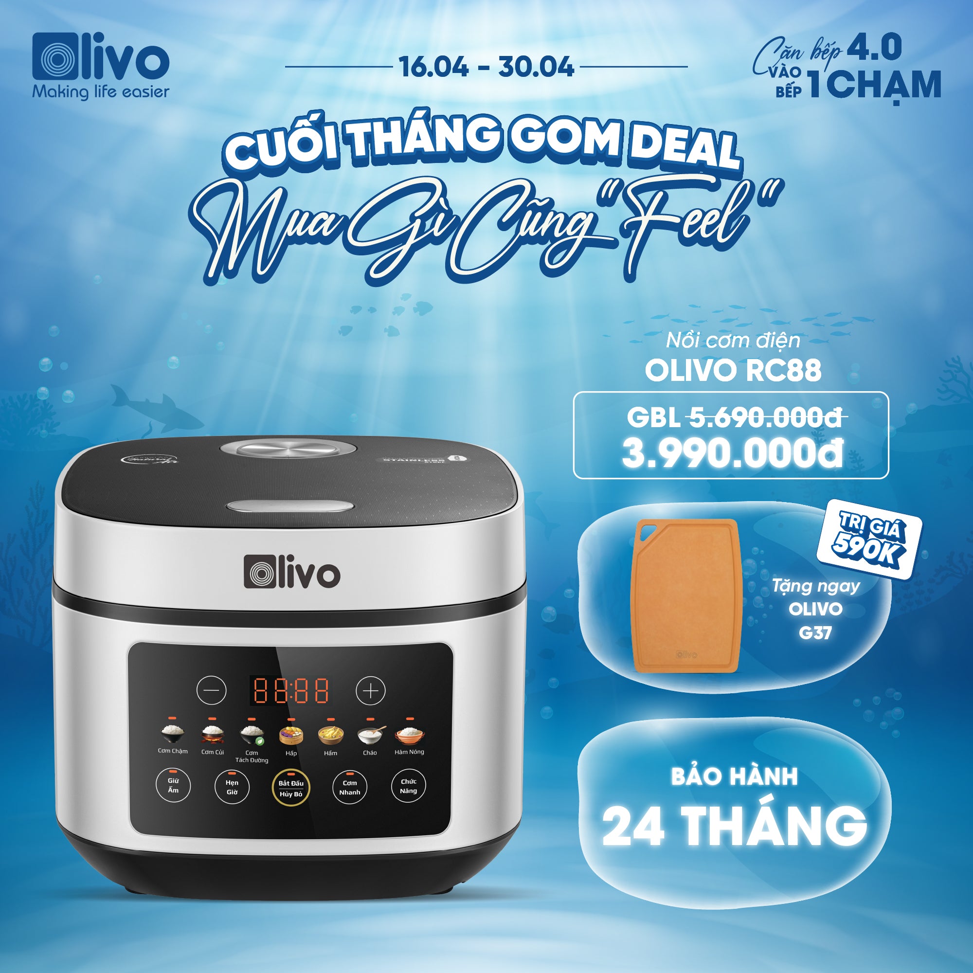 Nồi Cơm Điện OLIVO RC88 – Lòng Nồi INOX 304 Chống Dính Tự Nhiên, Bảng Điều Khiển OLED Sống Động, Nấu Cơm Ngon, Thiết Kế Sang Trọng