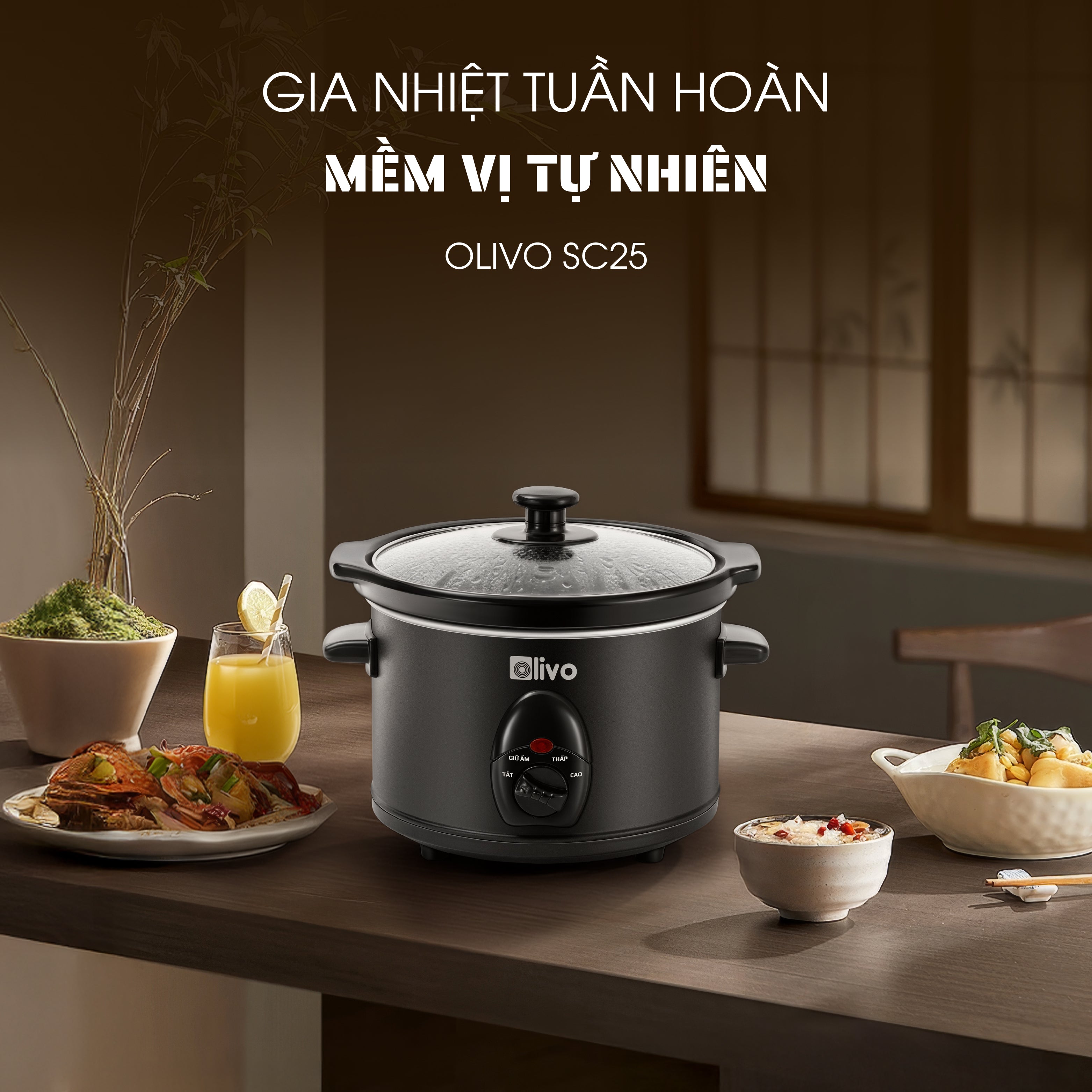 Nồi Nấu Chậm OLIVO SC25/SC30 - 3 Mức Nhiệt Cài Sẵn - Điều Khiển Núm Xoay - Lòng Gốm Tráng Men - Nắp Kính Cường Lực - Dung tích 2.5L/3L