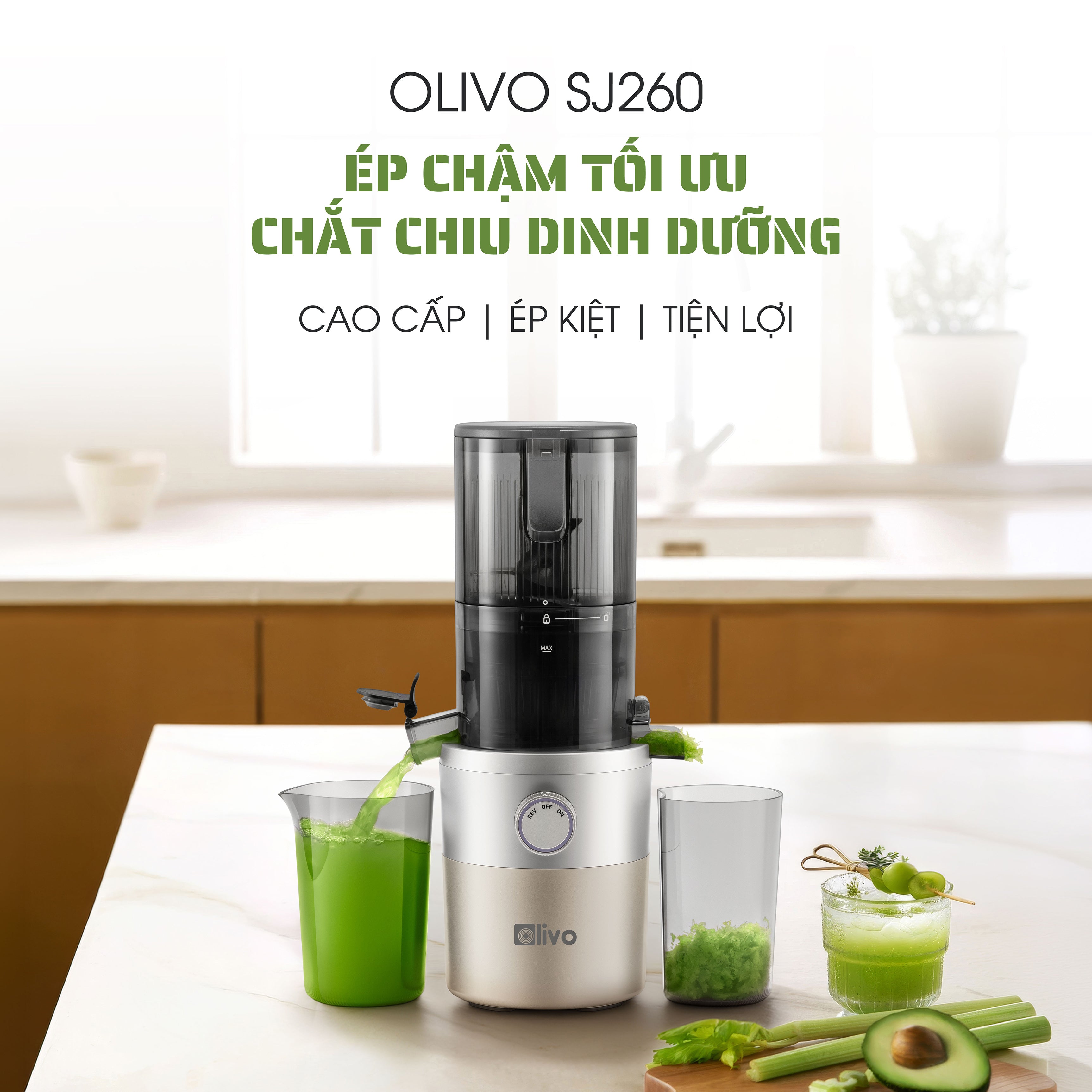 Máy Ép Chậm OLIVO SJ260 - Màu Solara, Lưỡi Dao Kép, Khoang Tiếp Lớn, Ép Kiệt, Dễ Dàng Vệ Sinh