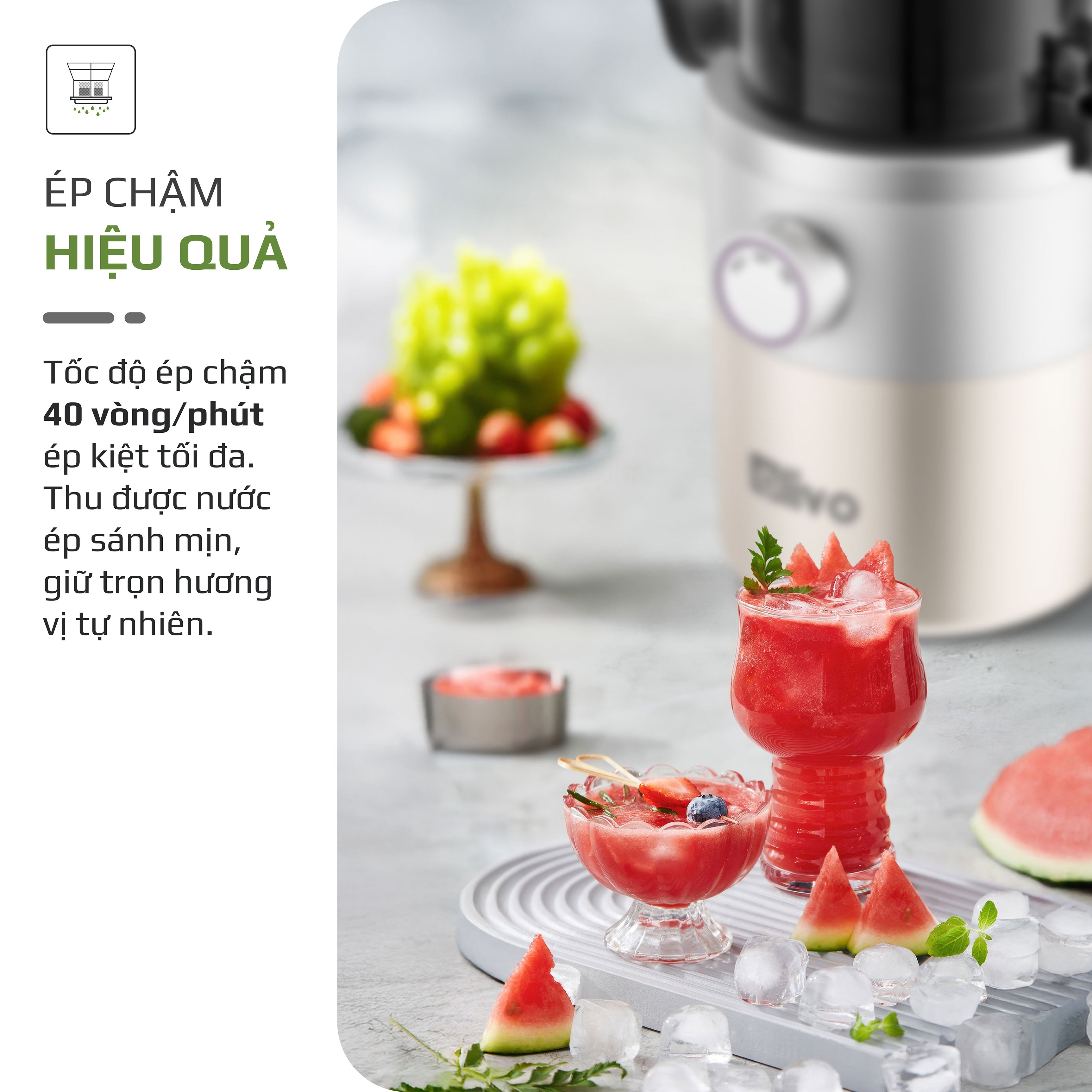 Máy Ép Chậm OLIVO SJ260 - Màu Solara, Lưỡi Dao Kép, Khoang Tiếp Lớn, Ép Kiệt, Dễ Dàng Vệ Sinh