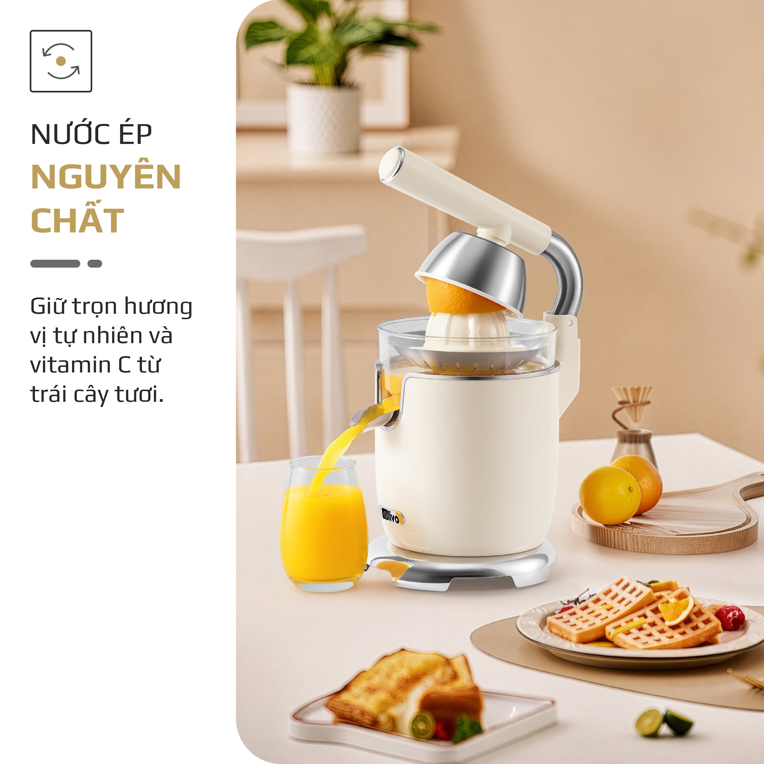 Máy Vắt Cam Trợ Lực Olivo CJ26 - Ép Kiệt Tối Ưu, Tay Cầm Trợ Lực, 2 Đầu Ép Linh Hoạt, Lưới Lọc Inox, Công Suất 600W, Thiết Kế Tối Giản Hiện Đại