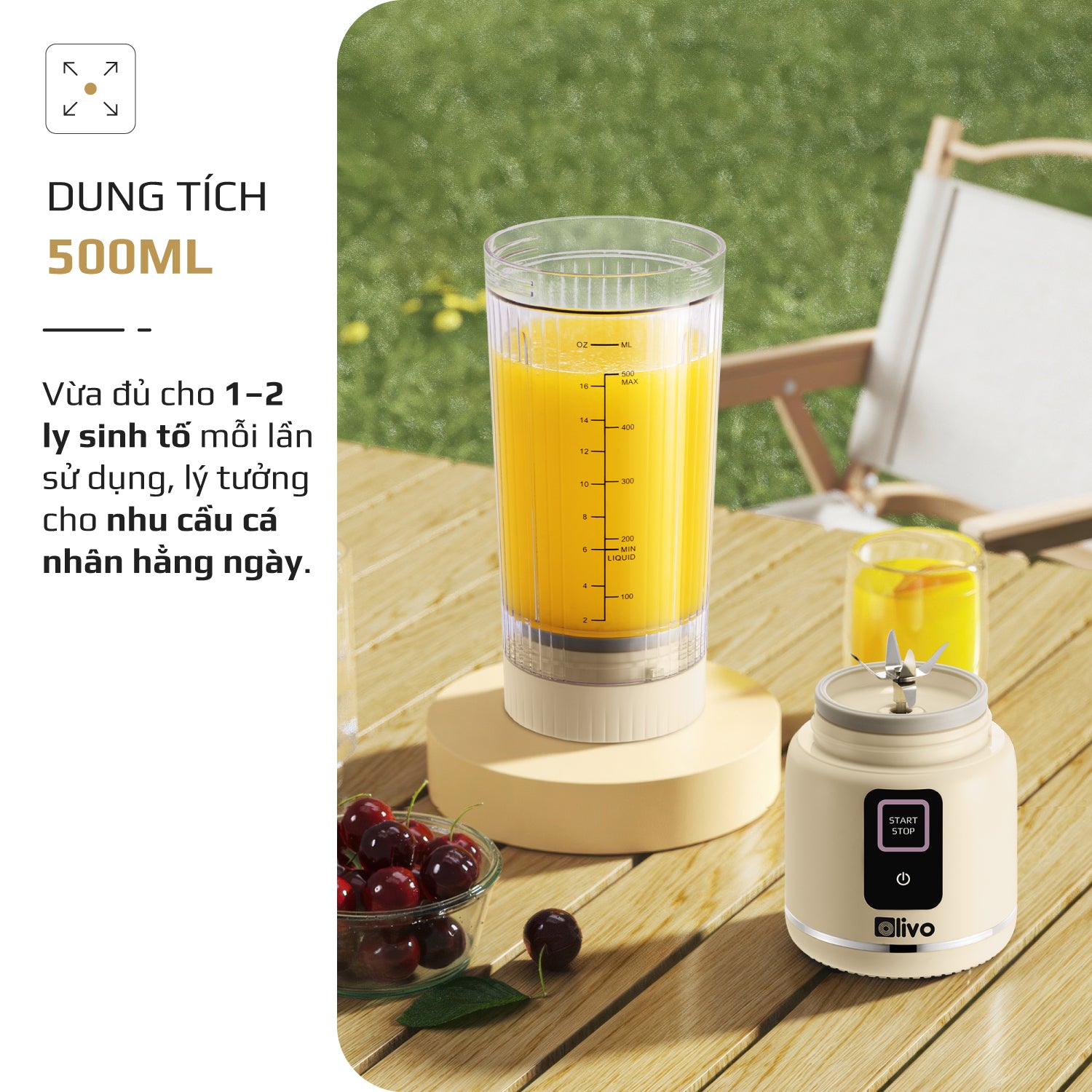 Máy Xay Sinh Tố Cầm Tay OLIVO PB02 - Pin Sạc Bền Bỉ - Nắp Đế Thay Thế - Quai Cầm Tiện Lợi - Dễ Dàng Vệ Sinh - Dung Tích 500ML - Công Suất 100W