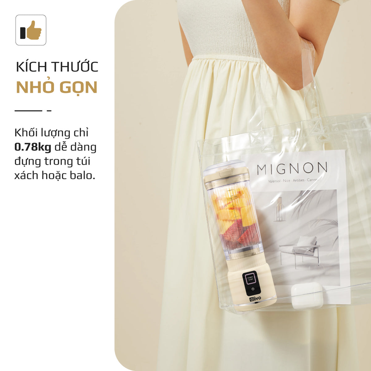 Máy xay sinh tố cầm tay OLIVO PB02