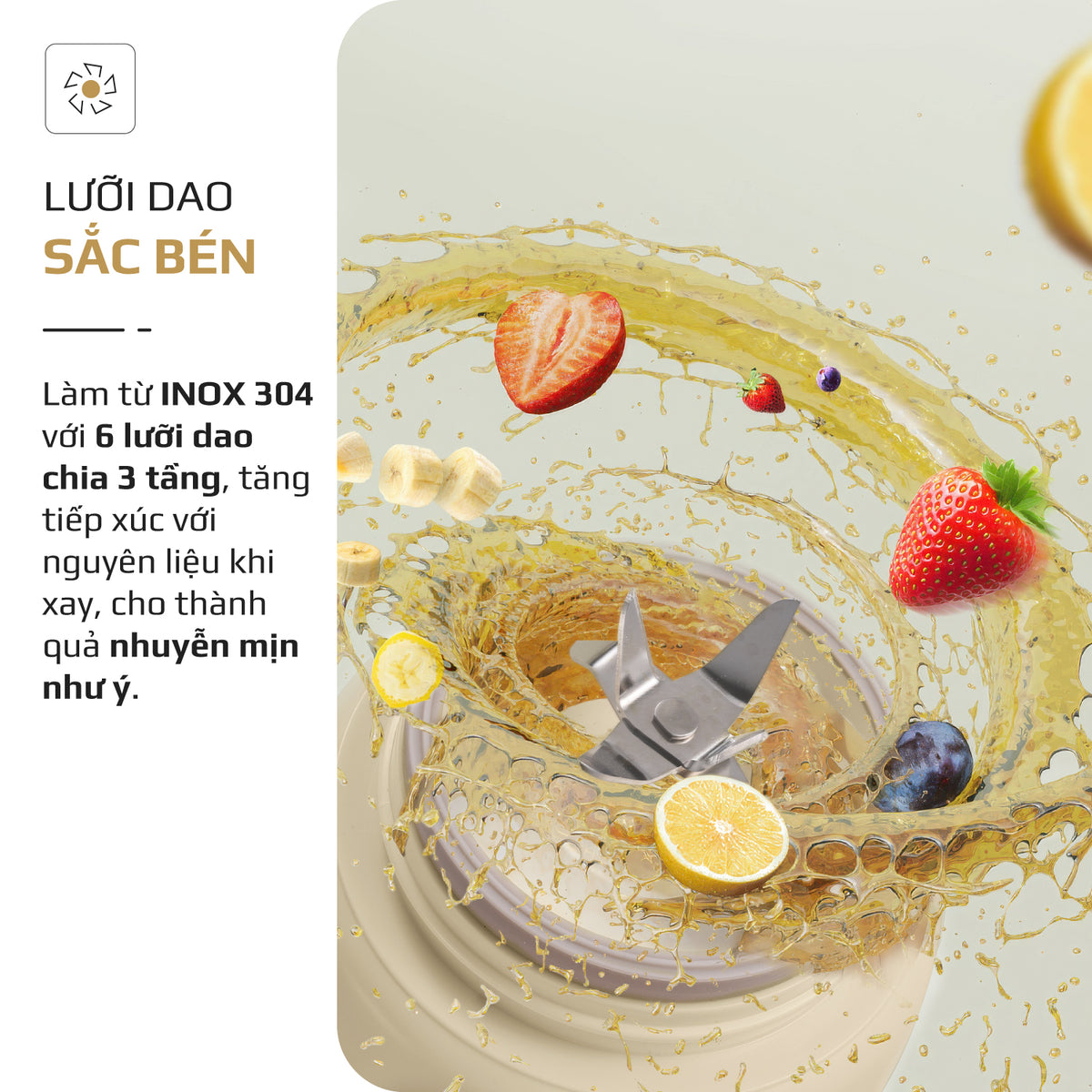 Máy xay sinh tố cầm tay OLIVO PB02