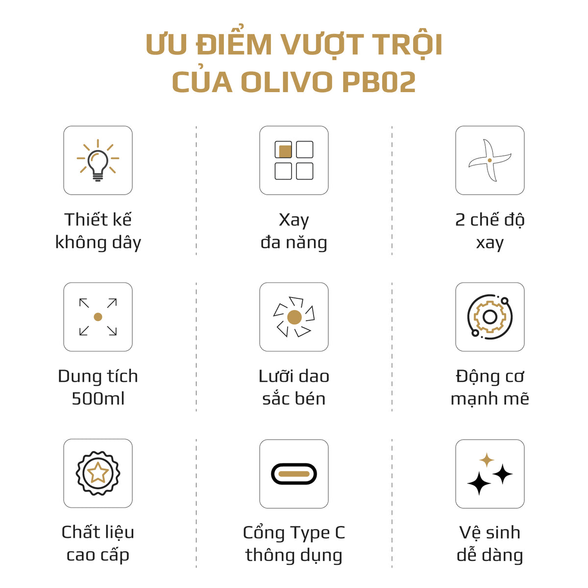 Máy xay sinh tố cầm tay OLIVO PB02
