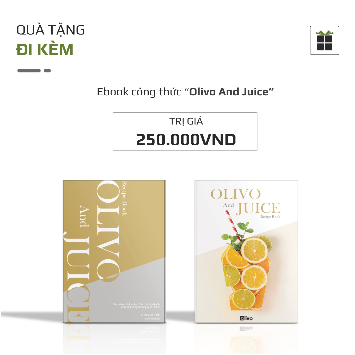 Máy Ép Chậm OLIVO SJ2000 - Khoang Tiếp Lớn, Củ Ép Kết Hợp Lưỡi Cắt Thông Minh, Thiết Kế Sang Trọng, Đẳng Cấp